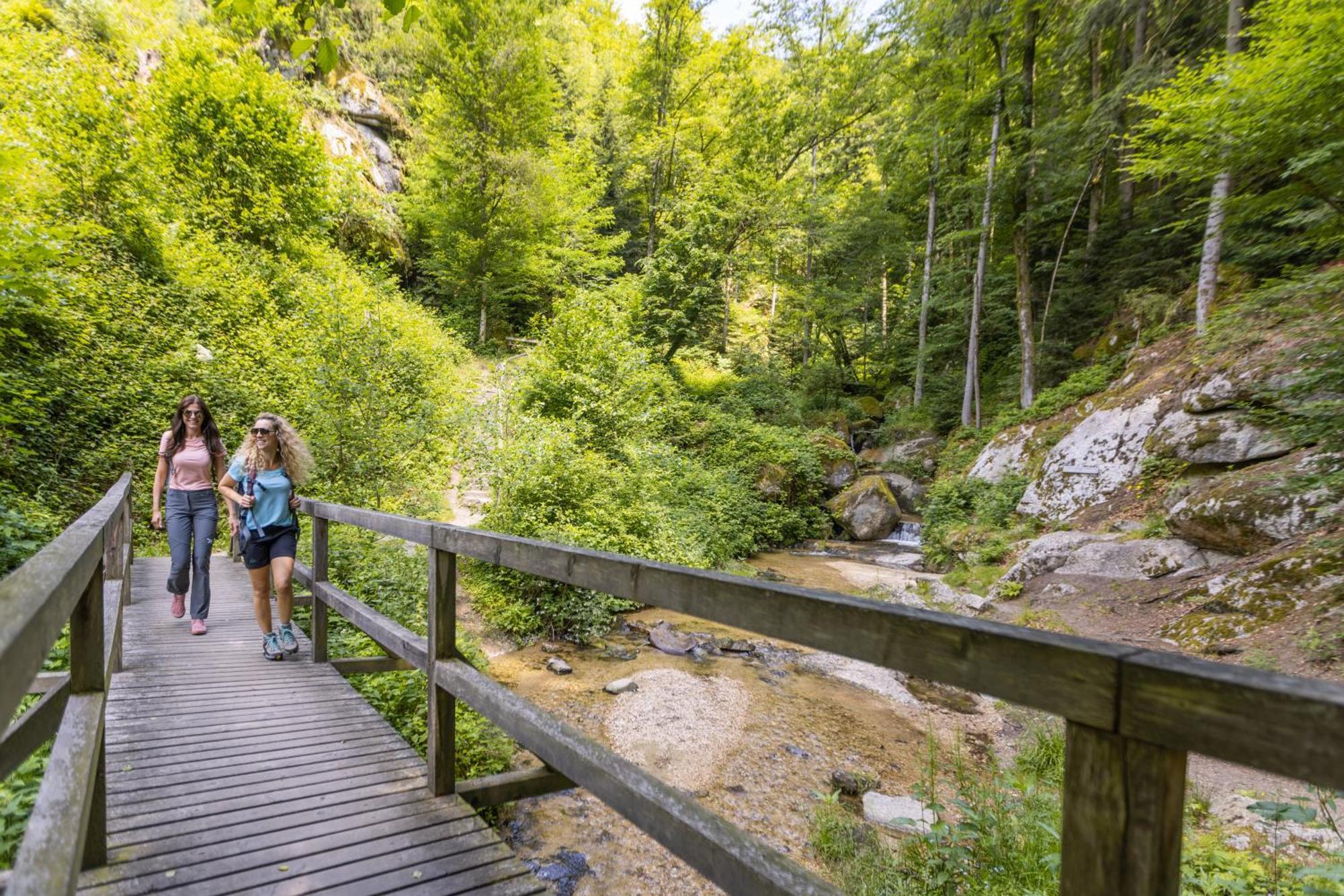 Am Wildbach Bei Passau Lägenhet Saming Exteriör bild